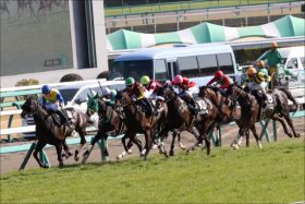 JRA「マイル新星」ミッキーグローリーがG1殴り込み？　気になるのは鞍上の行方