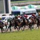 JRA池添謙一大ショック!? ロックディスタウン前哨戦勝っても「桜花賞回避」可能性浮上