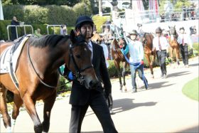 JRA注目人物「すでに結婚」か……結婚を公表しない関係者が多い理由は