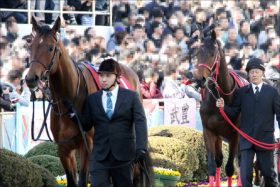 JRAの「ローカル王」須貝尚介調教師が小倉「1億円あら稼ぎ」！ 一番好きなのは……