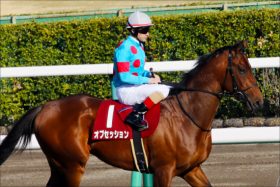 【青葉賞（G2）展望】ダノンマジェスティ・オブセッションなど超豪華メンバー集結！「史上最強の前哨戦」へ熱視線!!