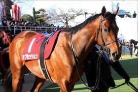 オブセッション急死…日本ダービー候補とも言われた逸材まさかの訃報