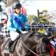 武豊オジュウチョウサンは◯位! 有馬記念(G1)【ファン投票結果発表】熾烈なトップ3は超僅差