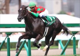 JRAオーシャンS（G3）極上の4頭とは？ 「荒れ模様」を関係者情報で紐解く!!