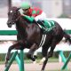 【金鯱賞(G2)展望】武豊エアウィンザーがJRA・G1馬5頭と激突! 「復活」ダノンプレミアムにも注目!