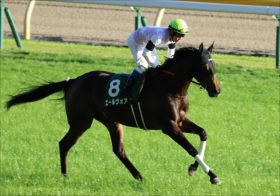 JRAフラワーC（G3）で夢の高配当ゲット!?「関係者耳より情報」から導き出した買い目とは？