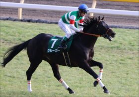 JRAアーモンドアイと並ぶ世界女王ウィンクスの「実力」に疑問!? 日本「G2ホース」クルーガー大健闘も問われる豪州競馬のレベル