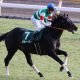 JRA毎週36R全部馬券買って数十年! 週刊プロレス元編集長・ターザン山本が語る”エクスタシー”競馬論