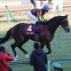 JRA札幌記念(G2)「本質夏馬?」サングレーザーがG1馬を一蹴連覇の可能性