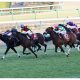 「武豊→福永祐一」テン乗り不安は? 天皇賞・春(G1)メイショウテッコンは騎手の腕次第か