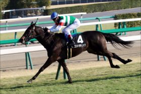 JRA「関東の女帝候補」コントラチェックの次走決定。牝馬クラシックに名乗りあげる？