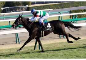 JRAクイーンS（G3）コントラチェックは3着以下濃厚!? まさかの“三重苦”の一因は「リーディング首位」 C.ルメールか