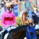 JRA関東「マーフィーまだ1位」の異常……戸崎圭太不調より深刻な「アノ騎手」中山ベッタリ