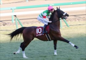 平成ラストJRA重賞【新潟大賞典（G3）展望】堅実メートルダールVS「除外危機」ミッキースワロー有力