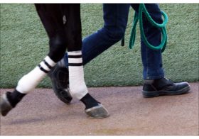 「武豊の馬が絶対勝つ」で逮捕。武豊の「親戚」名乗る男の余罪は多々？