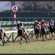 JRA新人騎手「空前のハイレベル」!? 岩田康誠息子よりも期待大な有望株とは