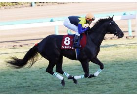 JRA阪神大賞典（G2）戸崎シャケトラ「不安は僕だけ」”自虐ネタ”炸裂で5馬身圧勝！ 遅咲きの大器が重賞連勝で「完全復活」