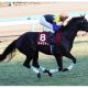 JRA阪神大賞典(G2)戸崎シャケトラ「不安は僕だけ」”自虐ネタ”炸裂で5馬身圧勝! 遅咲きの大器が重賞連勝で「完全復活」