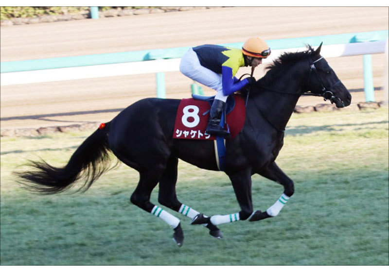 JRA「不安要素は僕だけ」戸崎圭太の名言も誕生!? フィエールマン負かしたAJCC(G2)復活劇…… 角居厩舎×金子オーナーの秘蔵っ子に訪れた悲運の画像2