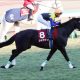 JRA阪神大賞典(G2)戸崎シャケトラ「不安は僕だけ」”自虐ネタ”炸裂で5馬身圧勝! 遅咲きの大器が重賞連勝で「完全復活」