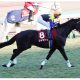 JRA阪神大賞典(G2)戸崎シャケトラ「不安は僕だけ」”自虐ネタ”炸裂で5馬身圧勝! 遅咲きの大器が重賞連勝で「完全復活」
