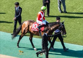 JRA高額馬主「撤退か」あの良血馬の所有名が突如変更