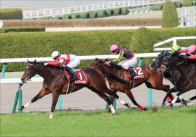 【桜花賞（G1）枠順確定】JRA平成最後の牝馬クラシックの重要枠順！ ダノンファンタジー、武豊シェーングランツは？