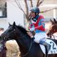 JRA菊花賞(G1)で思い出される名ステイヤー達。メジロマックイーン、ゴールドシップ、日本競馬史に残る長距離戦の王者達とその悲劇