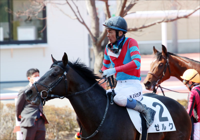 JRA菊花賞（G1）「連対率100％」カリボール！ 海外デビューの「新人ジョッキー」藤井騎手と狙う最後の1冠の画像1