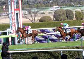 JRA【阪神JF（G1）展望】武豊×幸四郎「兄弟タッグ」でG1初挑戦、「3戦3勝」ウォーターナビレラを止めるのはM.デムーロかC.ルメールか!?