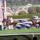 JRA横山典弘「栗東滞在」効果で“やる気”もアップ!? 阪神JF(G1)1勝馬で挑む27年連続重賞制覇に抽選突破が条件も「新馬としては言うことない」