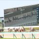 高松宮記念(G1)「謎の善戦続き」ナックビーナスの「性格難」? モズスーパーフレアに続けて敗北の真相