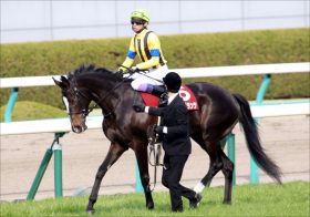 桜花賞（G1）武豊「逆転不可能ではない」大本命ダノンファンタジーに挑戦状!? 天才が「本音」で語ったシェーングランツの真実