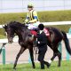 JRA桜花賞(G1)「何故」ダノンファンタジーは完敗したのか。グランアレグリアとの実力差以上に深刻な「課題」