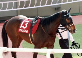 JRA阪神牝馬S（G2）「和田→デムーロ」シゲルピンクダイヤはプラスなのか？ 思い出されるあのレース……