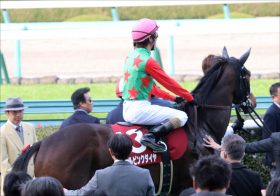 JRA【京都牝馬S（G3）展望】「桜花賞2着」シゲルピンクダイヤVS「初重賞勝ち」サウンドキアラの一騎打ちか？ 良血馬も顔をそろえる！