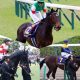 JRA日本ダービー（G1） 「令和初重賞馬」レッドジェニアルが酒井学で嵐を呼ぶ