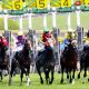 JRA有馬記念(G1)的中には武豊と池添が必須!? 最注目は「○番人気」の伝説…… 奇跡起こしたオグリキャップ、トウカイテイオーに共通していたのは