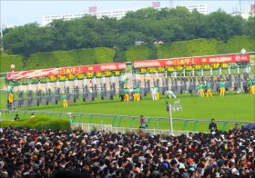 2019年JRA新種牡馬紹介その1　社台グループ系3頭～キズナ・エピファネイア・リアルインパクト～