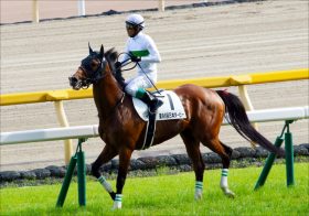 JRA「東京G1レコード三昧」異様な高速馬場が波乱と議論を呼んだ