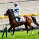JRAラヴズオンリーユー秋華賞(G1)回避!? 無敗のオークス馬「蹄炎症」リタイアで3歳牝馬クラシック混沌……