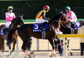 武豊インティと「2頭の王者」帝王賞（G1）は史上最強決戦に！ 天才ルヴァンスレーヴ復活にも注目！