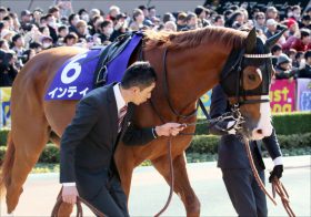 JRA武豊・凱旋門賞でインティ南部杯（G1）「代役」川田将雅が急浮上!? 1番人気15着大敗「変な競馬になってすみません」から1年、汚名返上の機会は……