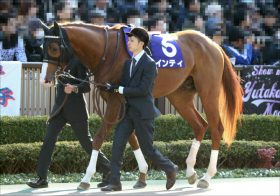 JRAフェブラリーS（G1）注目は過去25年で最多「11勝」の毛色の馬達！テーオーケインズ回避で「波乱」必至