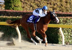 JRAフェブラリーＳ（G1）武豊インティ「逃げ逃げ詐欺」にファンから嘆き!? 「逃げてもいいし、番手でも」から一転、まさかの後方待機の真相に迫る