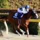 JRA武豊インティは「何故」逃げなかったのか? 「らしくない競馬」フェブラリーS(G1)で崩壊した「2つのプラン」