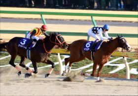 武豊インティ「ただもらい？」帝王賞（G1）ルヴァンスレーヴ、ゴールドドリーム回避で「最強決定戦」お預け