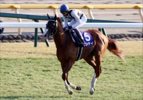 武豊インティ「リベンジ」ローテほぼ確定!? 「乱高下」の春を越え、今度こそ天下取りへ