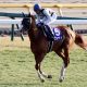 JRA武豊インティは「何故」逃げなかったのか? 「らしくない競馬」フェブラリーS(G1)で崩壊した「2つのプラン」
