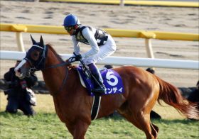 JRA武豊「代打」川田将雅もガックリ……「申し訳ない」みやこS（G3）1番人気インティ「暴走」最下位の裏側